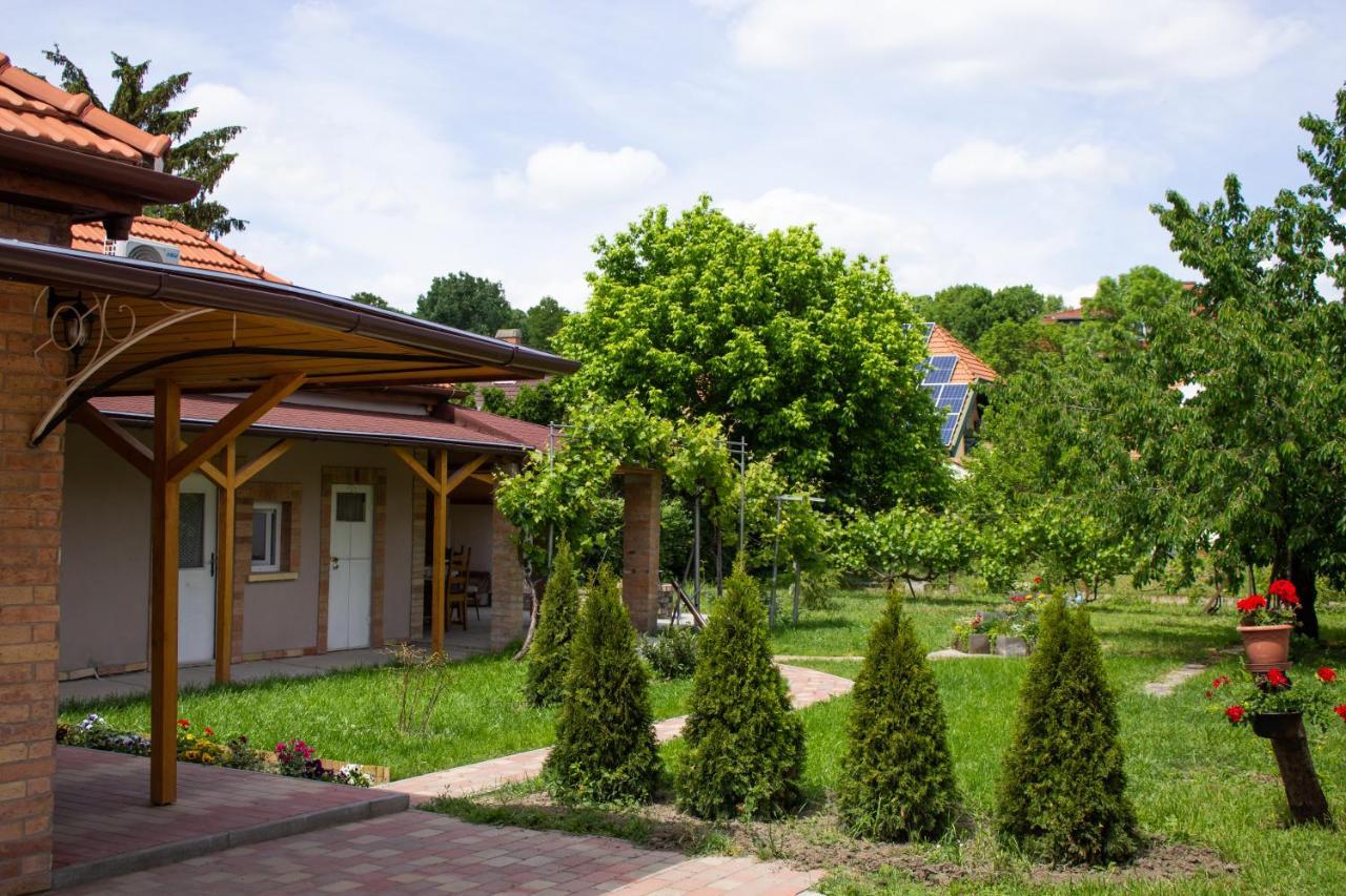 Ilona Apartman Дьюла Экстерьер фото